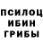 Галлюциногенные грибы мицелий Eva Manis