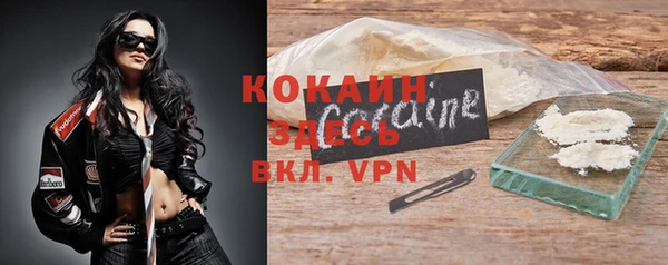 тгк Володарск
